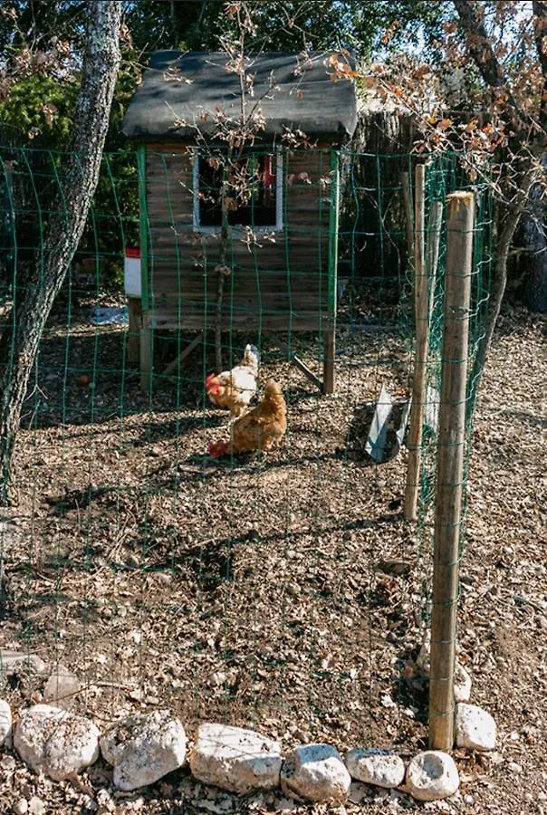 Ferienhaus Le Jardin Des Delis Gite Neuf En Provence Saint-Saturnin-d'Apt